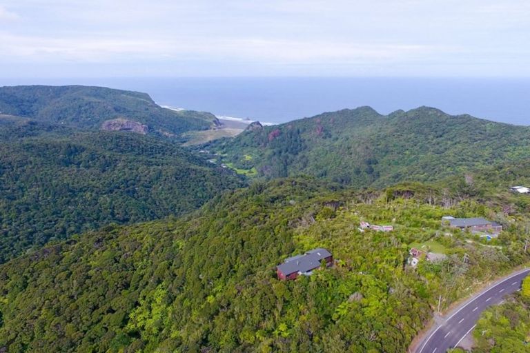 Photo of property in 209 Piha Road, Piha, New Lynn, 0772