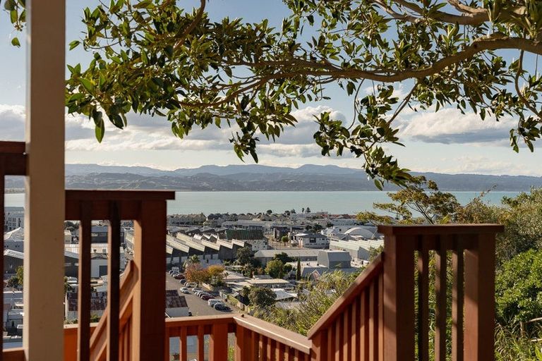 Photo of property in 5 Denholm Road, Hospital Hill, Napier, 4110