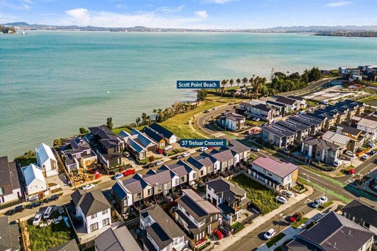 Photo of property in 37 Treloar Crescent, Hobsonville, Auckland, 0616