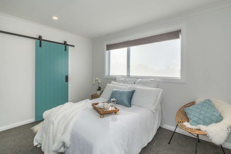 Photo of property in 87a Tiro Tiro Road, Levin, 5510