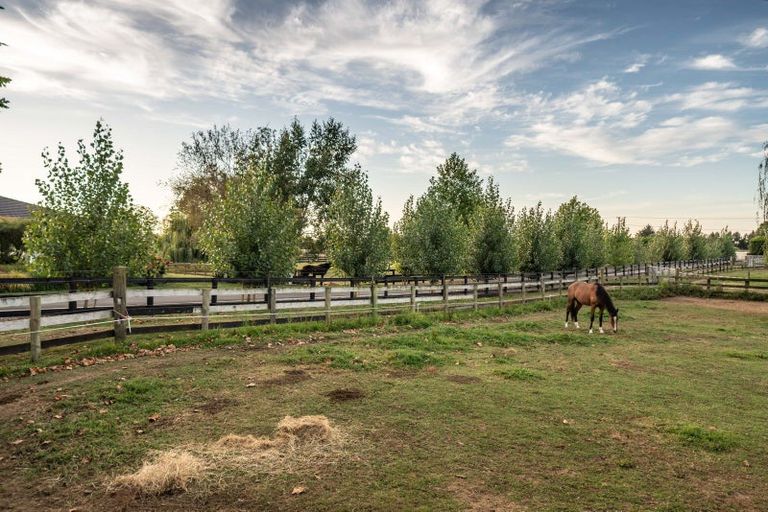 Photo of property in 81 Racecourse Road, Cambridge, 3493