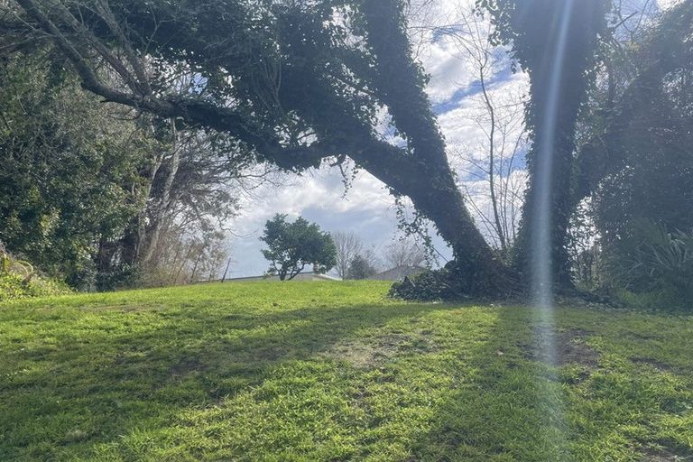 Photo of property in 102 Tirau Street, Putaruru, 3411