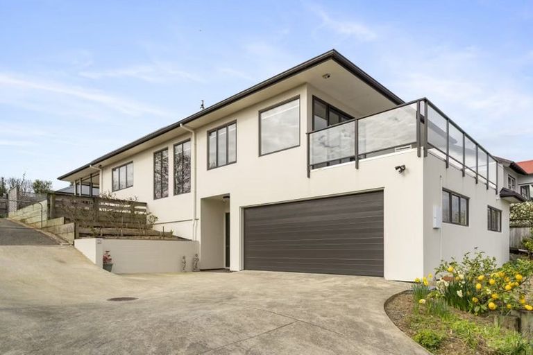 Photo of property in 13a Manchester Street, Levin, 5510