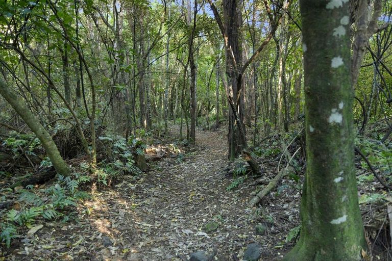 Photo of property in 849 Kincaid Road, Hapuku, Kaikoura, 7371