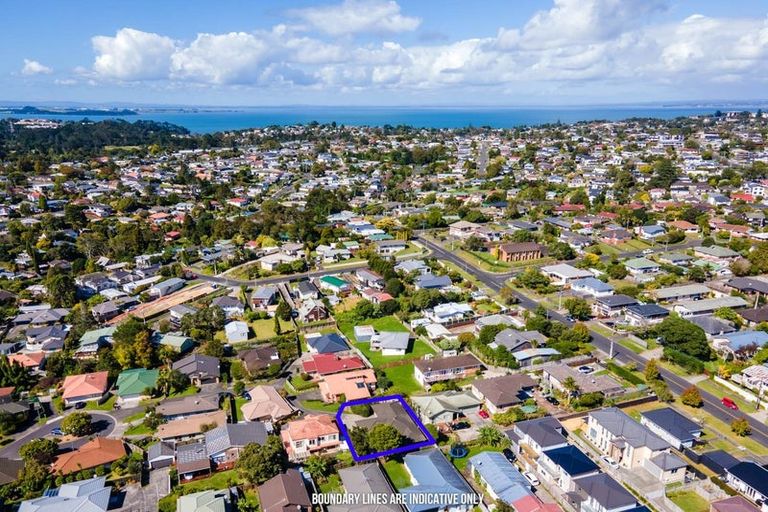 Photo of property in 17 Copplestone Place, New Lynn, Auckland, 0600