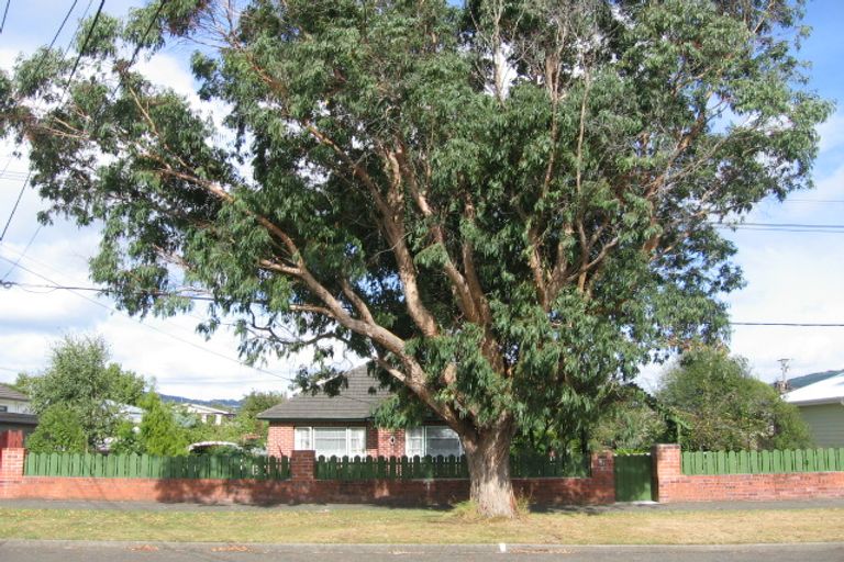 Photo of property in 3 Sandford Street, Trentham, Upper Hutt, 5018