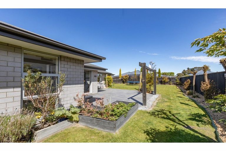 Photo of property in 31 Mulberry Street, Rangiora, 7400