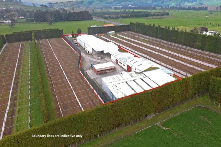 Photo of property in 11 Trig Road, Waihi, 3681