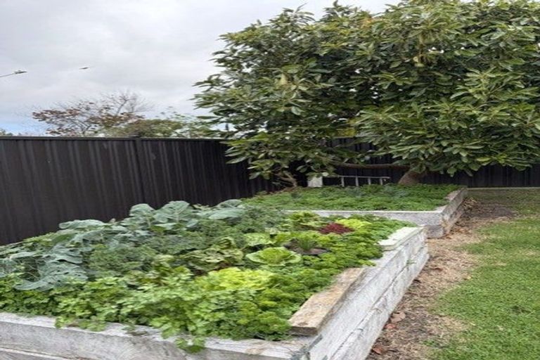 Photo of property in 6 Donegal Crescent, Tamatea, Napier, 4112