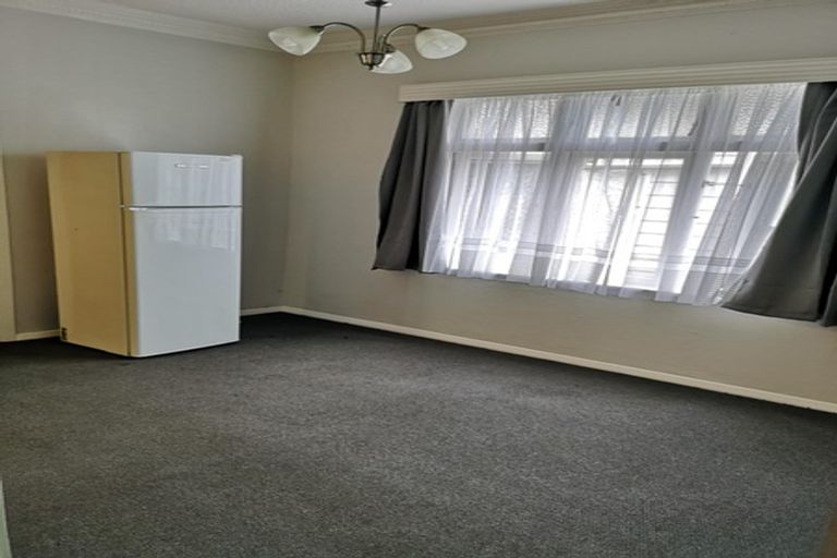 Photo of property in 76 Mcalpine Avenue, Mount Cook, Wellington, 6011