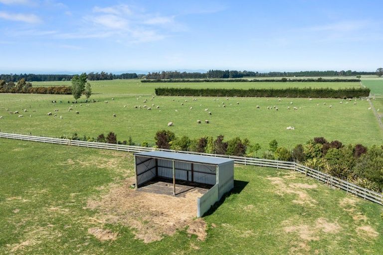 Photo of property in 192 Terrace Road, Leithfield, Amberley, 7481