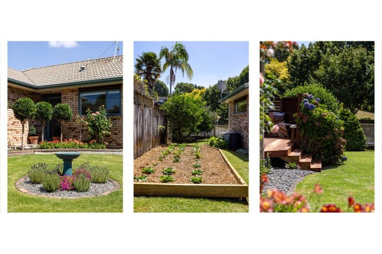 Photo of property in 1 Hadleigh Place, Bethlehem, Tauranga, 3110