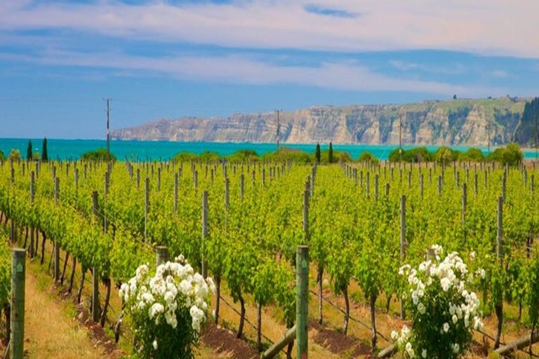 Photo of property in 12 Memorial Park Avenue, Haumoana, 4102