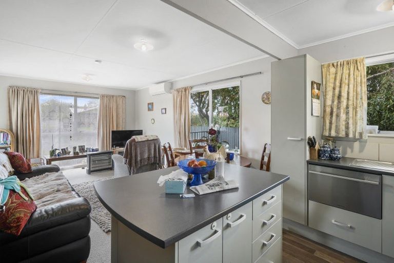 Photo of property in 46 Durham Street, Levin, 5510