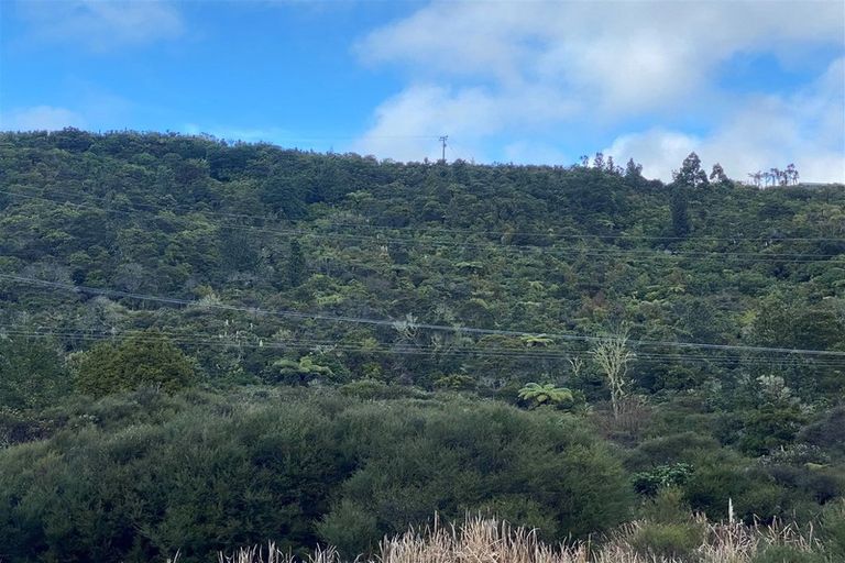 Photo of property in 100 Paul Road, Whenuakite, Whitianga, 3591