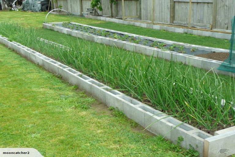 Photo of property in 636 Inland Road North, Onaero, Waitara, 4383