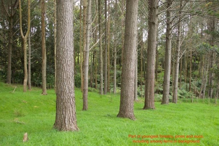 Photo of property in 648b Haruru Road, Kaukapakapa, 0873