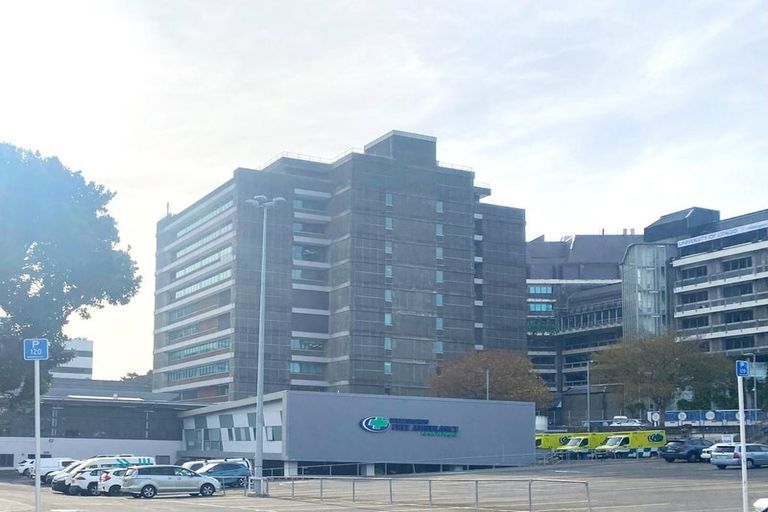 Photo of property in 1/11 Corunna Avenue, Newtown, Wellington, 6021