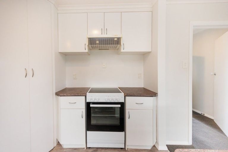 Photo of property in 345 Tremaine Avenue, Takaro, Palmerston North, 4412