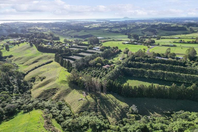 Photo of property in 486 Esdaile Road, Whakamarama, Tauranga, 3180