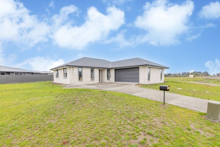 Photo of property in 92 Belgrove Drive, Waipukurau, 4200