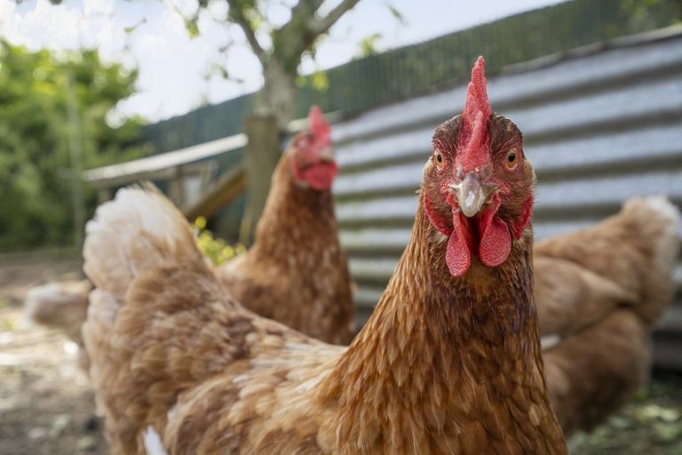 Photo of property in 131 Brecon Road, Stratford, 4332