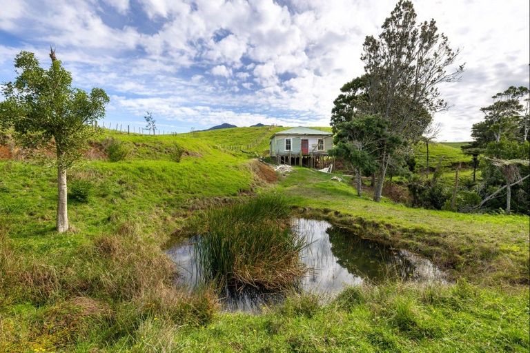 Photo of property in 62 Cornes Road, Raglan, 3296
