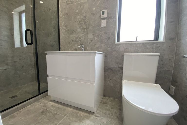 Photo of property in 117 Longhorn Drive, Flat Bush, Auckland, 2019