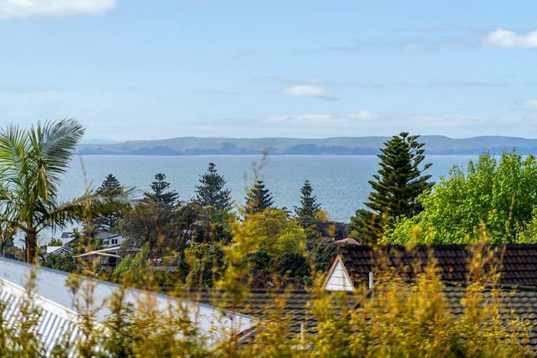 Photo of property in 85 Glamorgan Drive, Torbay, Auckland, 0630