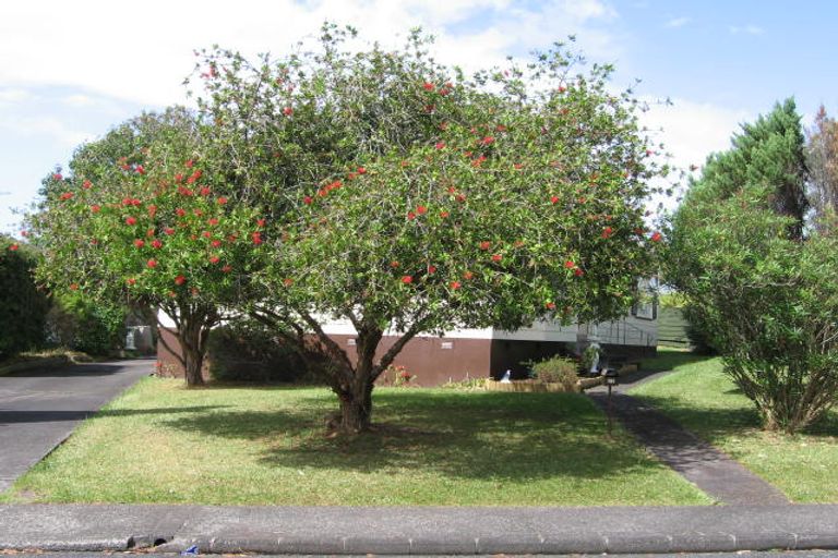 Photo of property in 55 Thornlow Street, Glendene, Auckland, 0602