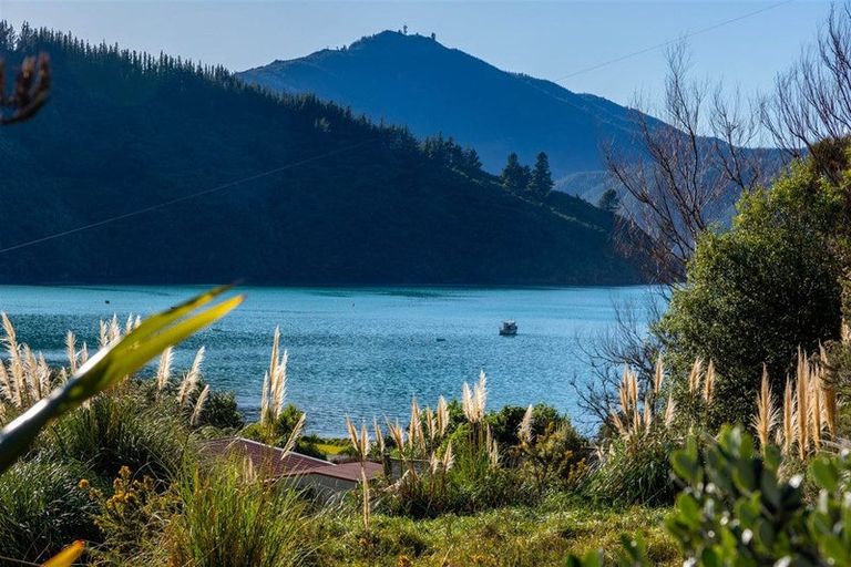 Photo of property in 1476 Port Underwood Road, Port Underwood, Picton, 7281