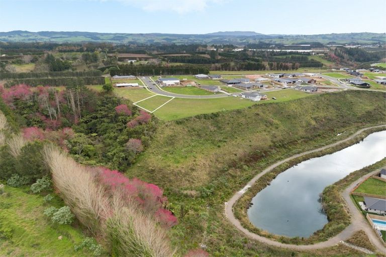 Photo of property in 211 Te Ranga Memorial Drive, Pyes Pa, Tauranga, 3112