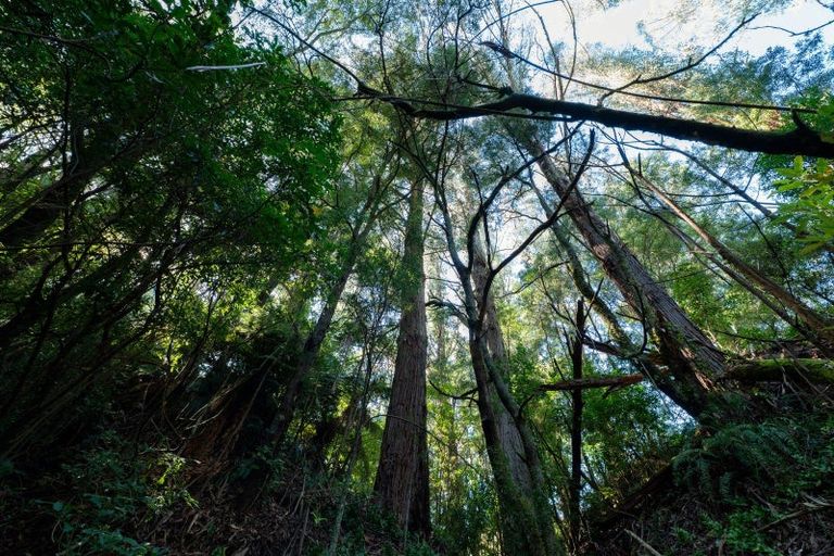 Photo of property in 122 Hitiri Road, Kinloch, Taupo, 3377