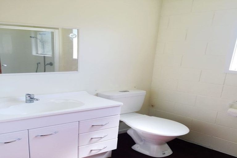 Photo of property in 44 Kaikoura Street, Henderson, Auckland, 0612