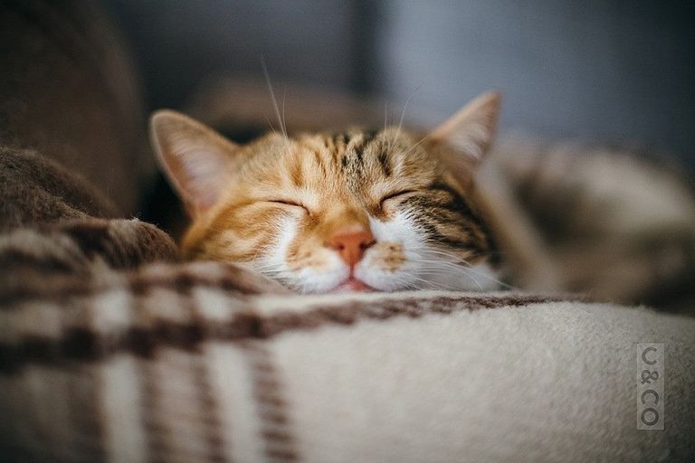 Photo of property in 16 Great North Road, Riverhead, 0820