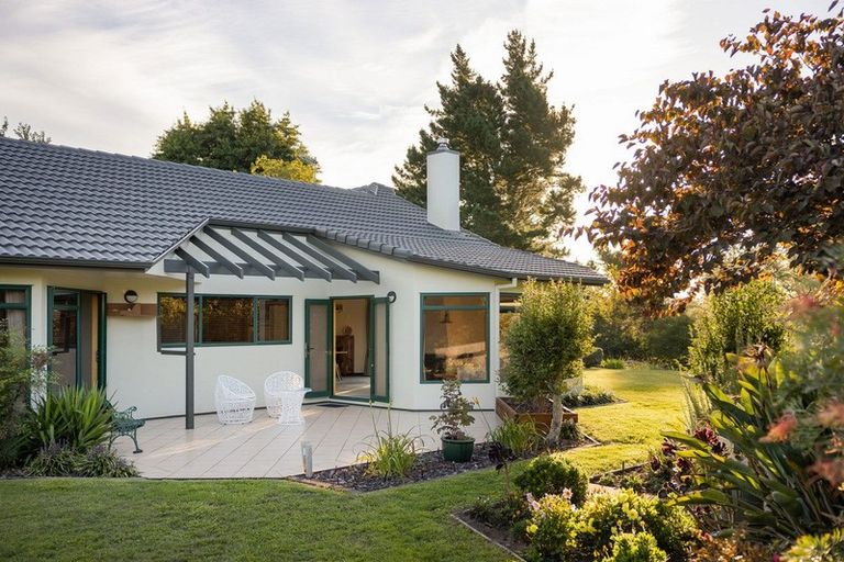 Photo of property in 8r Freeburn Road, Pyes Pa, Tauranga, 3112