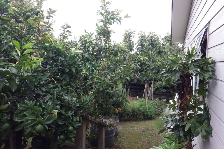 Photo of property in 3a Featon Road, Waihi, 3610