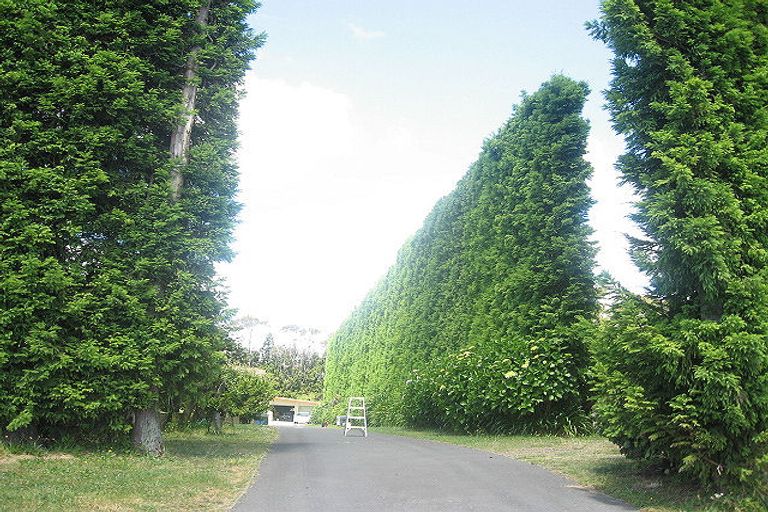 Photo of property in 575 No 2 Road, Te Puke, 3182