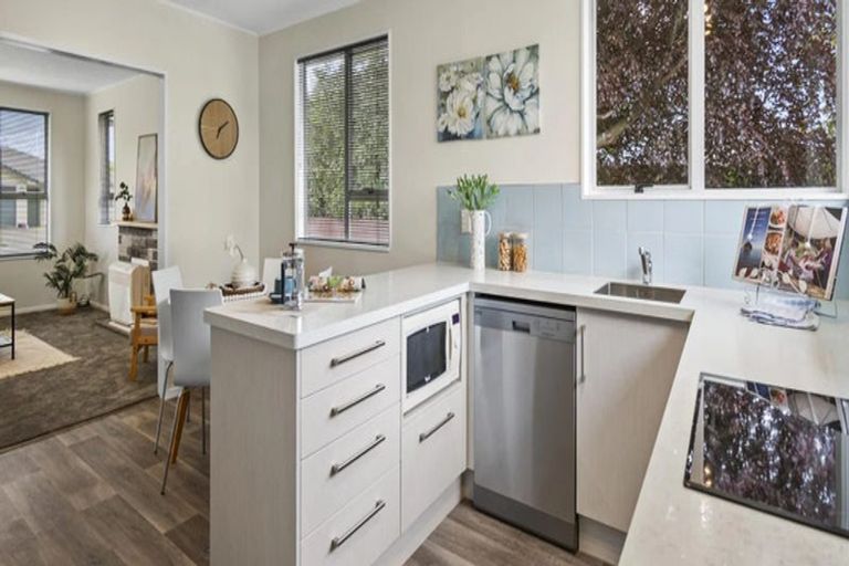 Photo of property in 165 Maxwells Line, Awapuni, Palmerston North, 4412