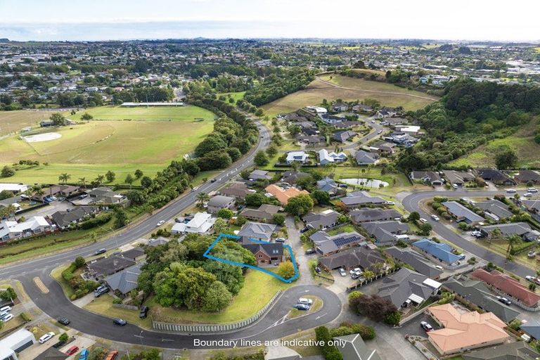 Photo of property in 20 Les Fisher Place, Pukekohe, 2120