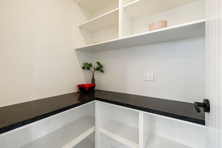 Photo of property in 29 Earp Crescent, Chartwell, 3210