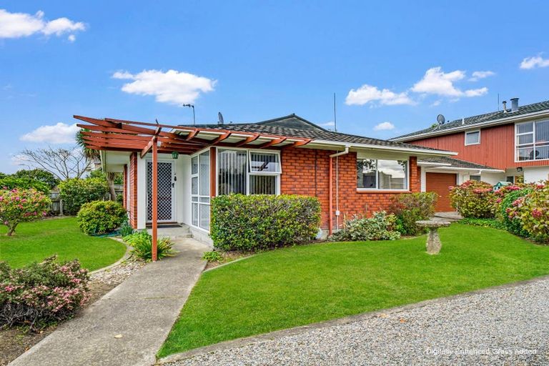 Photo of property in 45 Dittmer Drive, Awapuni, Palmerston North, 4412