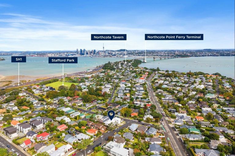 Photo of property in 6 Belle Vue Avenue, Northcote Point, Auckland, 0627