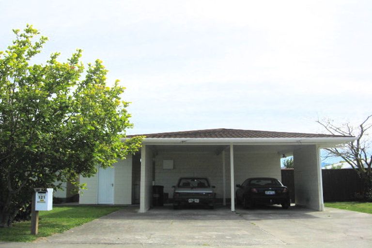 Photo of property in 121 Muller Road, Blenheim, 7201