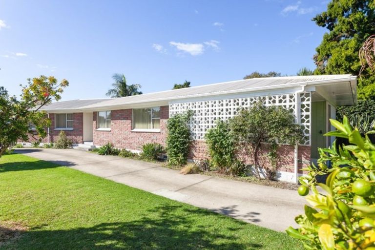 Photo of property in 21 Mcgarvey Road, Whakatane, 3120