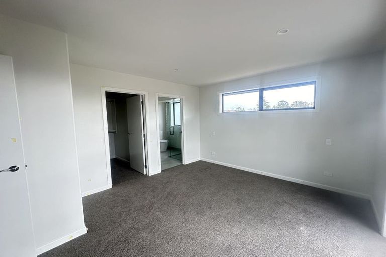 Photo of property in 12 Celeste Terrace, Peacocke, 3206
