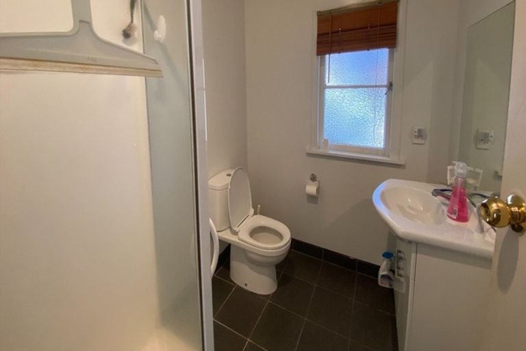 Photo of property in 100 Firth Street, Hamilton East, Hamilton, 3216