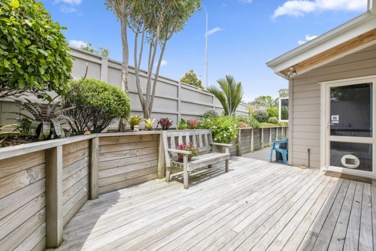 Photo of property in 1 Ririnui Place, Maungatapu, Tauranga, 3112