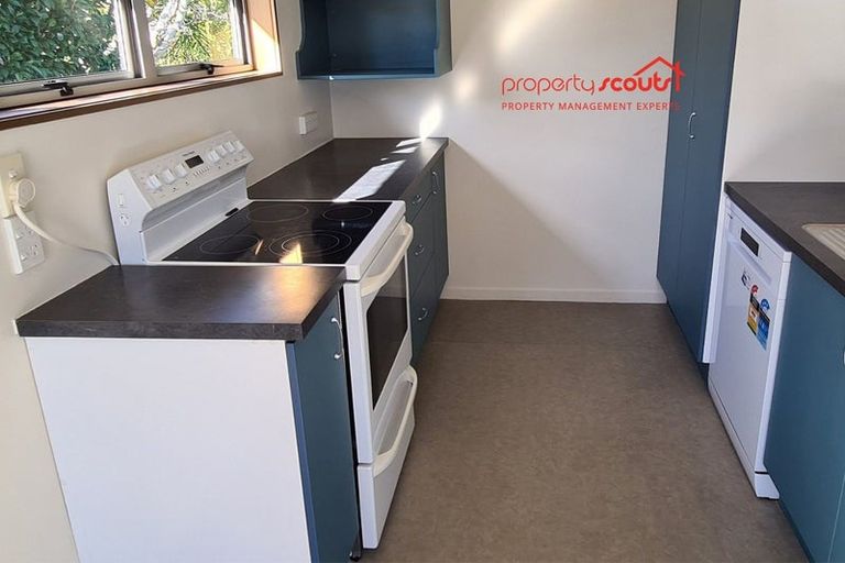 Photo of property in 15 Shearwater Street, One Tree Point, 0118