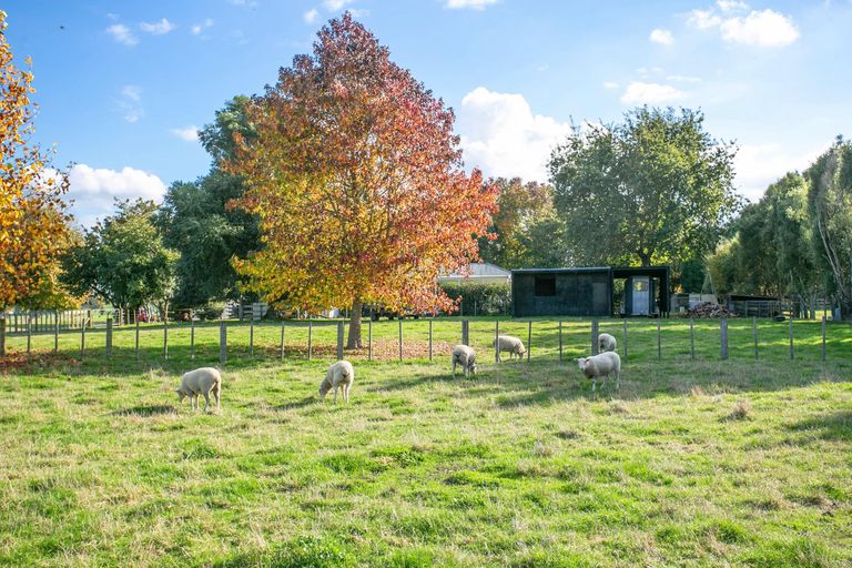 Photo of property in 24 Temm Road, Te Poi, Matamata, 3473